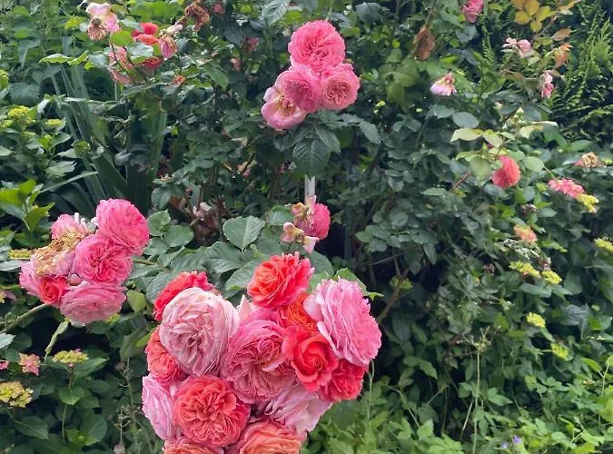 شقة Eckernfoerder Glueck *